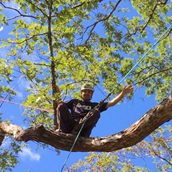 Participant high up in a tree